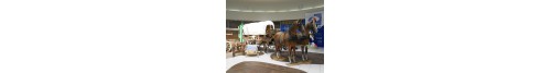 Location décors et animations Western-Far-west-Country-Amérique Location décors et animations Western-Far-west-Country-Amérique