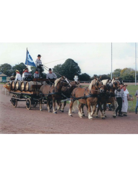 Voiture Tonneaux - Location de Calèche