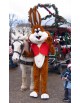 Location mascotte lapin