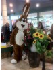 Location mascotte lapin