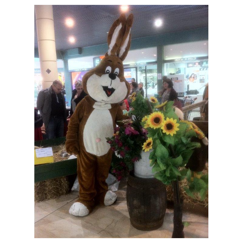 Location de la mascotte du Lapin