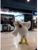 Location mascotte poule