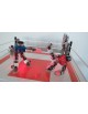 Animation combat de robots