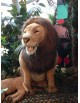 Lion en peluche