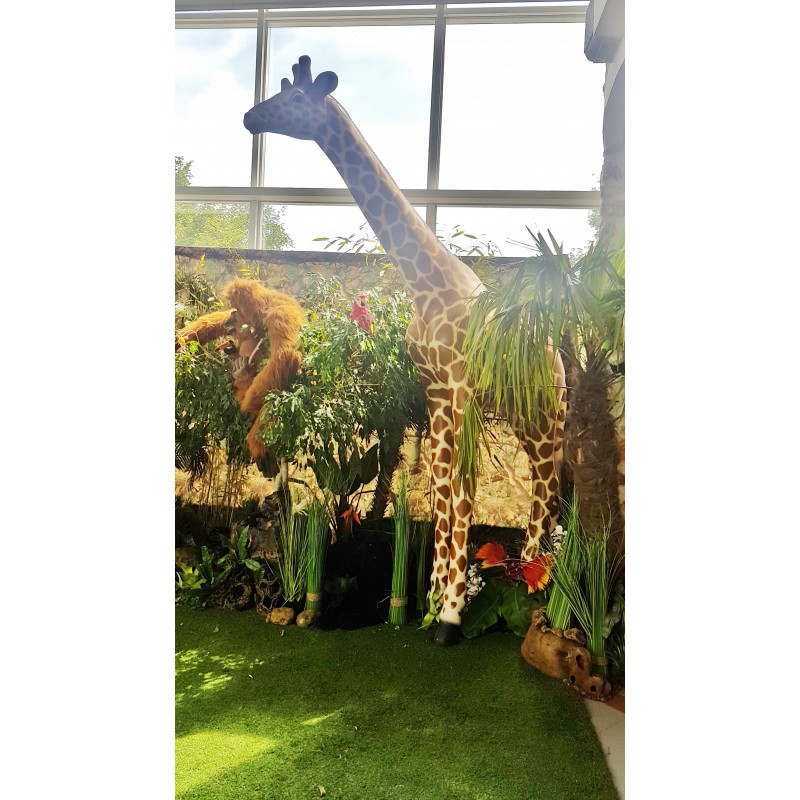 Location girafe castorama