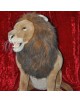 Lion en peluche