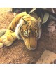 Tigre en peluche