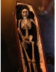 Squelette dans un cercueil
