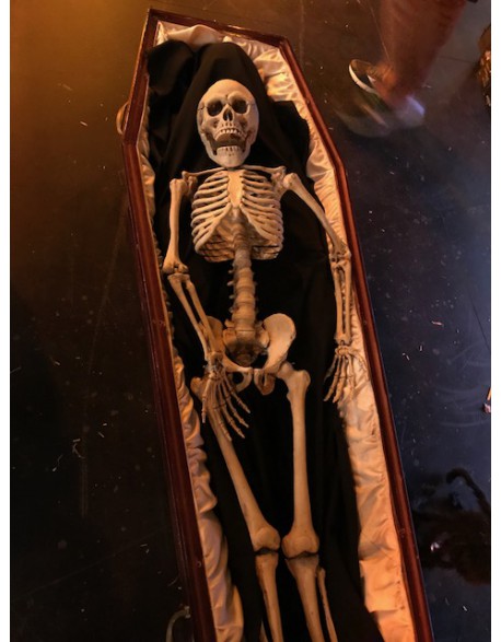 Squelette dans un cercueil