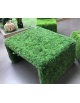 Table basse en herbe
