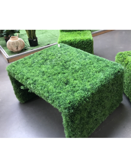 Table basse en herbe