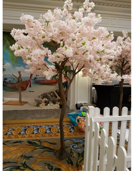 Location arbres en fleurs Asiatique