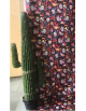 Location cactus