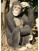 Singe assis en résine