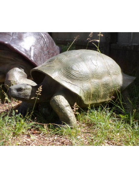 Tortue en résine