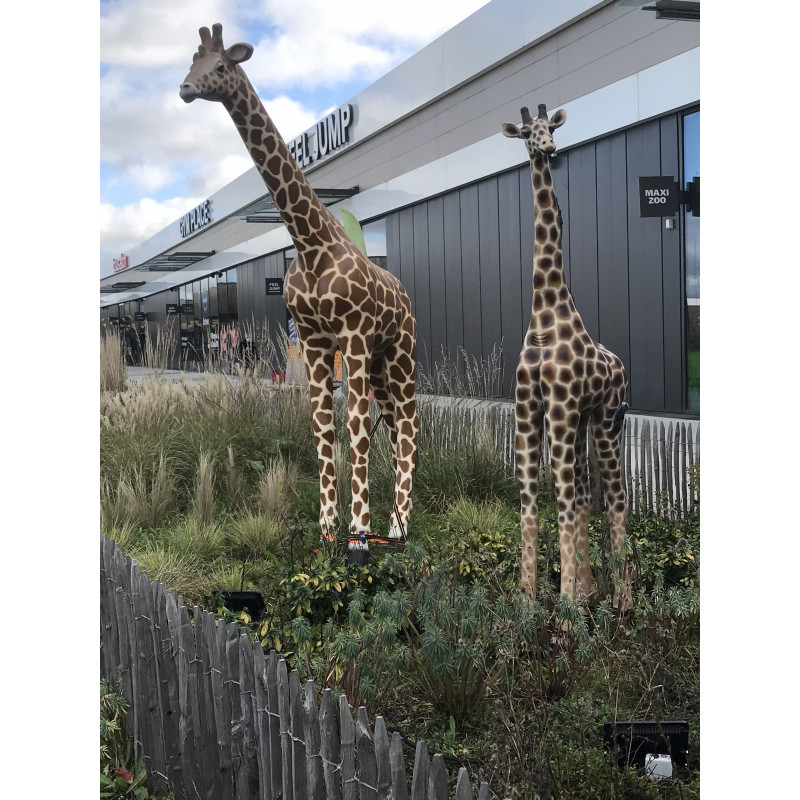 Location grande girafe en résine