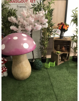 location de champignons géants