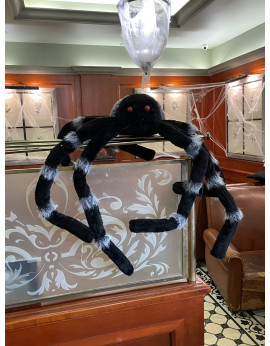 Araignée géante