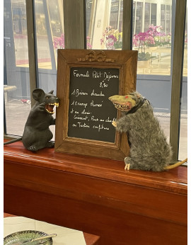 Rats méchants