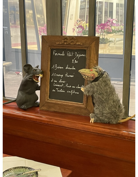 Rats méchants