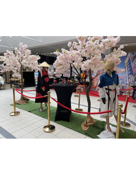 expostion décors Mangas