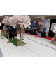 expostion décors Mangas